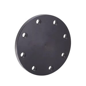 12" Blank Flange PN16/8(105) 12" BS4504