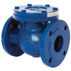 TGL 125mm Check Valve PN16 Cast Iron 170