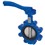 TGL 8" Butterfly Valve 110°C Fully Lugged 135